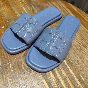 Tory Burch Blue Slide Sandals